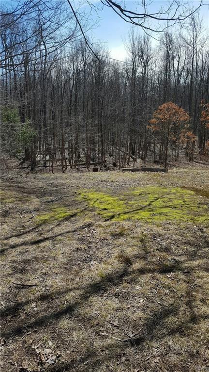 61 County Rte 24 - Photo 3 of 24