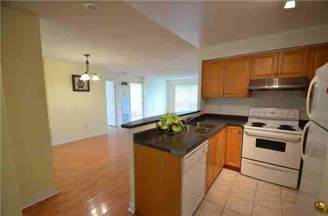 7 Lorraine Drive #203