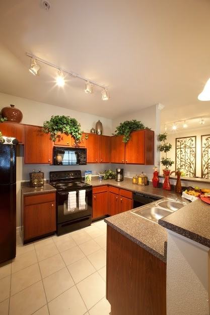 Watermarke - Photo 2 of 11