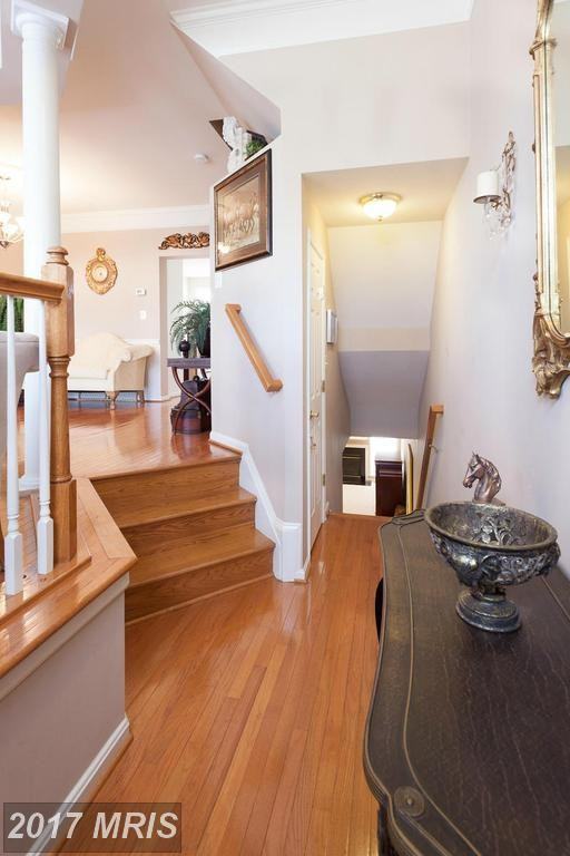 24703 Siltstone Square - Photo 2 of 29