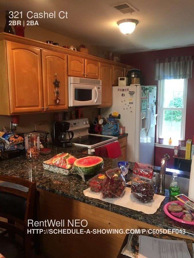 321 Cashel Ct - Photo 3 of 14