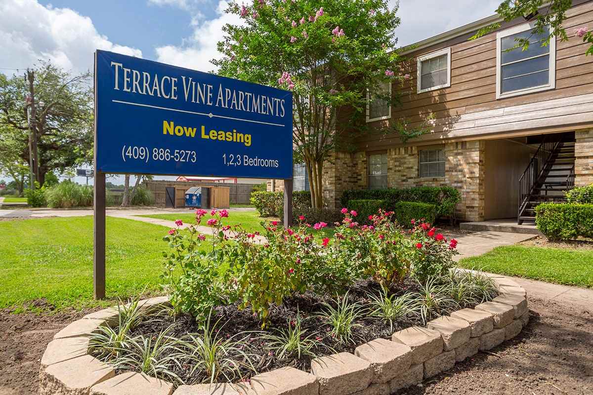 Terrace Vine Apartments - Photo 2 of 48