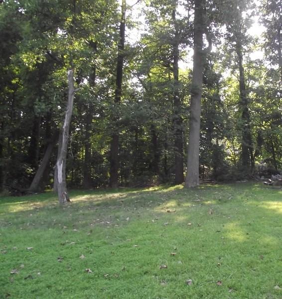 373 Old Tote Rd - Photo 3 of 16