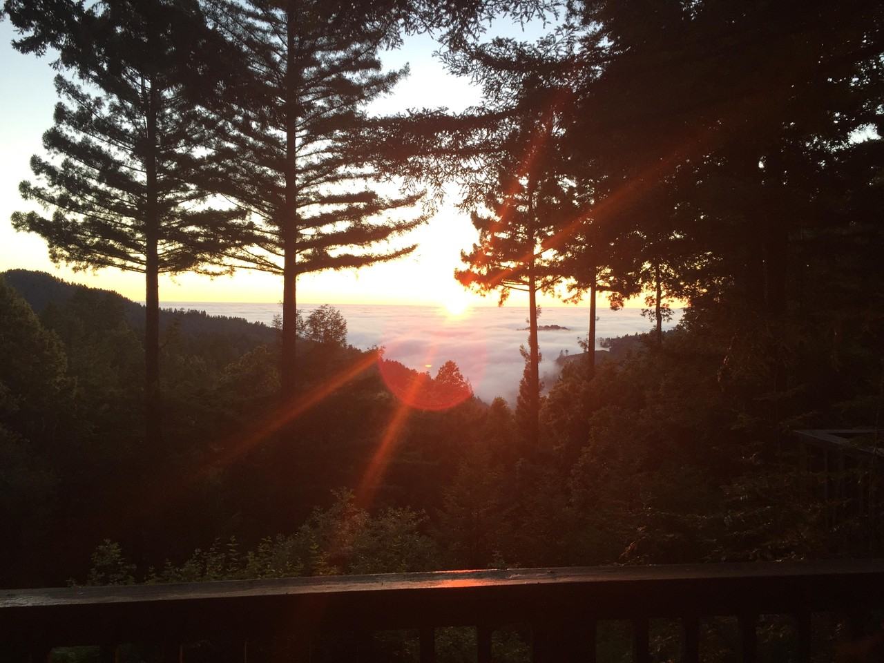 489 Tunitas Creek Rd - Photo 2 of 12