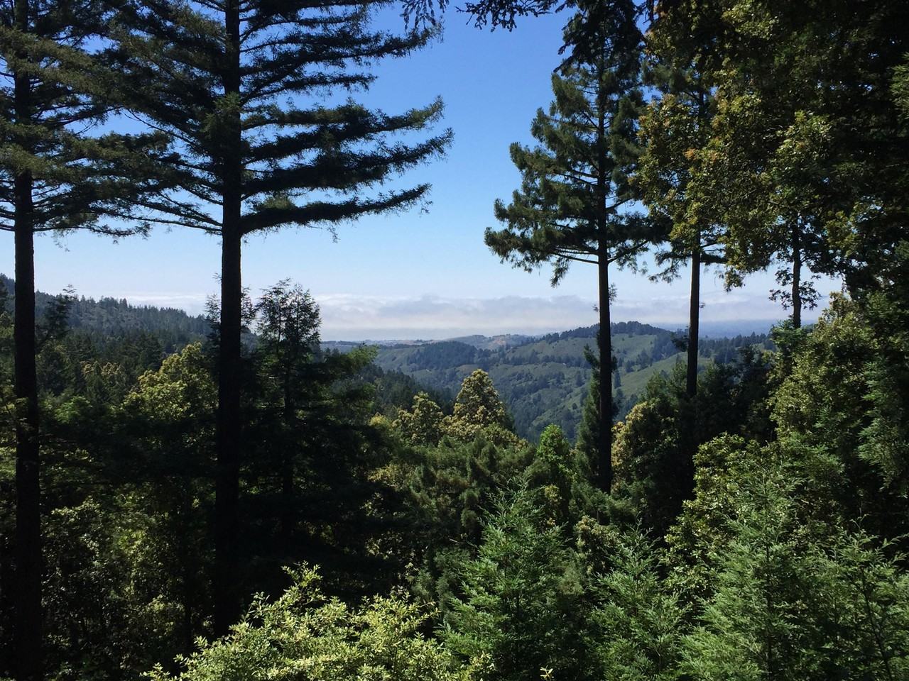 489 Tunitas Creek Rd - Photo 3 of 12