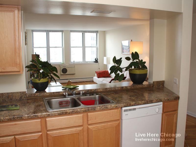 6400 North Sheridan Road #302 - Photo 3 of 7