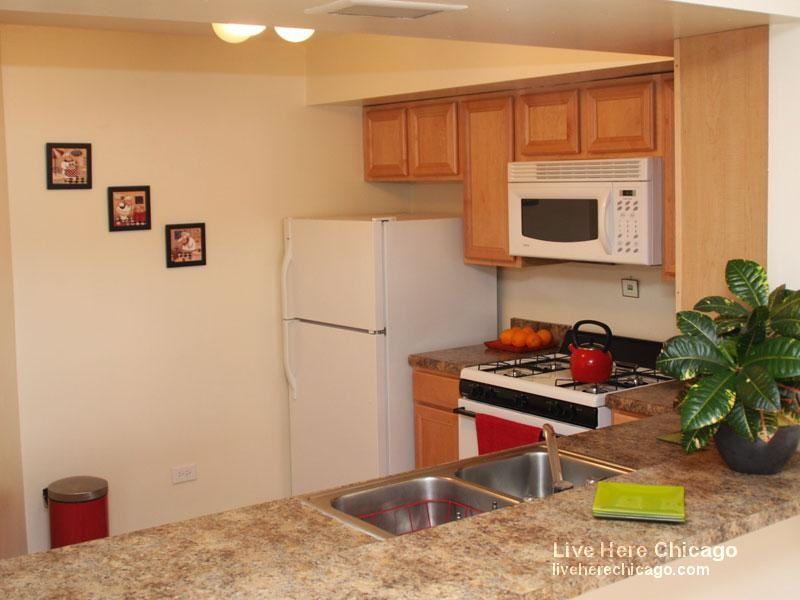 6400 North Sheridan Road #302 - Photo 2 of 7