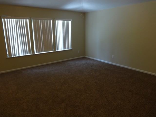 11374 Brian Lakes Dr N - Photo 3 of 14