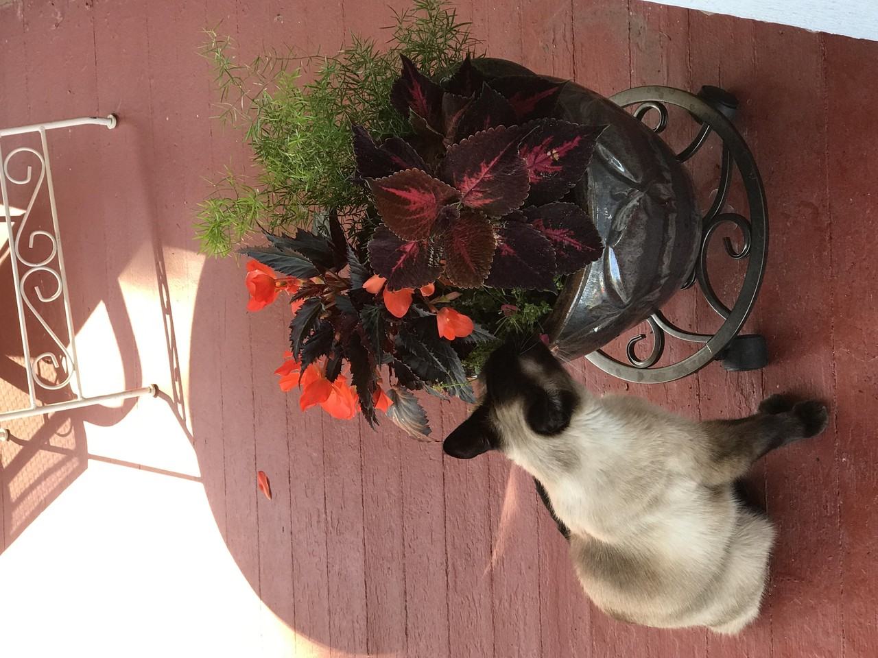 2742 SE Roswell St - Photo 2 of 5