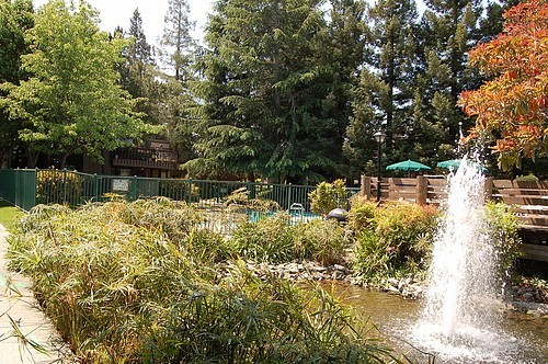 3375 Homestead Rd - Photo 2 of 16