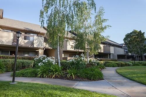 4875 Mowry Ave - Photo 2 of 14