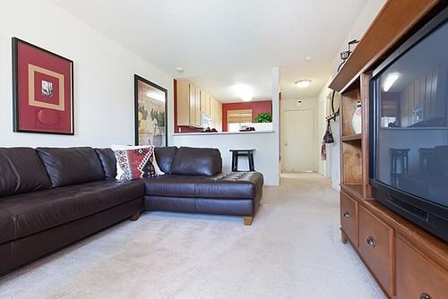 4875 Mowry Ave - Photo 6 of 14