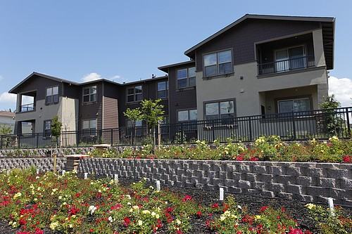 703 Saratoga Drive - Photo 3 of 25