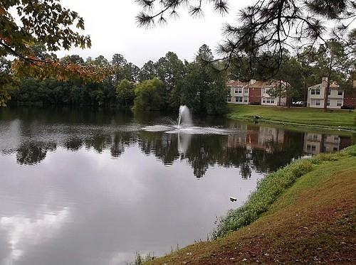 11070 Mead Rd. - Photo 4 of 50