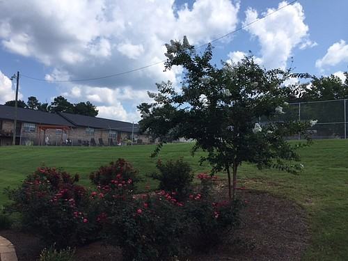 3209 Greendale Pl. - Photo 3 of 36