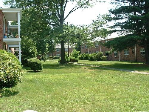 325 West Upper Ferry Road - Photo 3 of 12