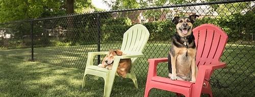 7949 Ridge Avenue - Photo 7 of 14