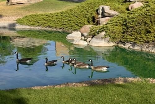 3150 South Tamarac Drive - Photo 3 of 23