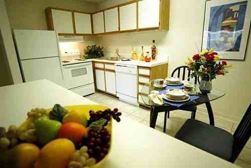 446 Conradi Street - Photo 6 of 14