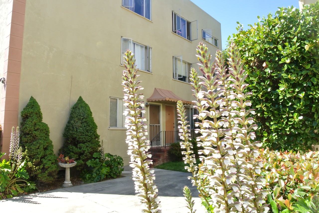 338 Lenox Avenue #Apt6 - Photo 2 of 21