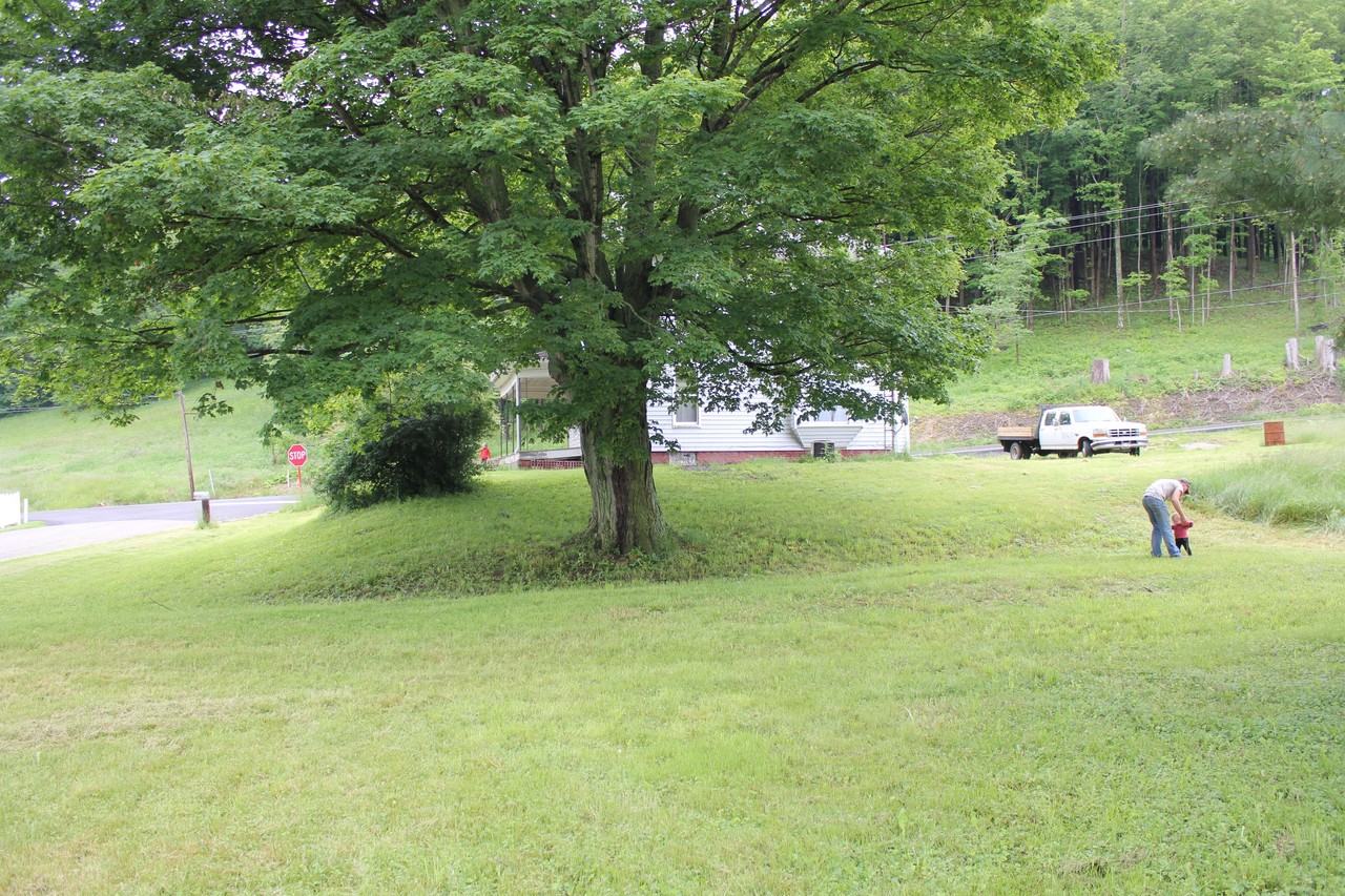 42303 Co Rd 318 - Photo 3 of 4