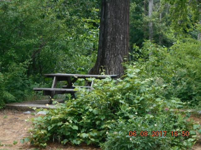 683 S 1st St - Photo 3 of 17