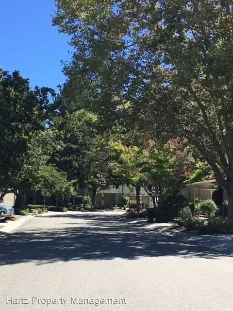 1412 Vía Loma - Photo 2 of 15