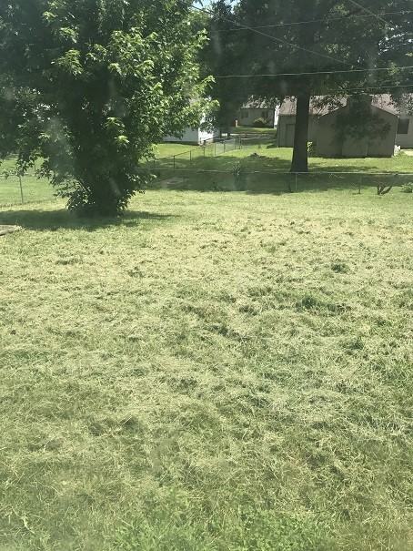 2403 S Crescent Ave - Photo 3 of 11