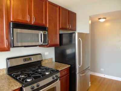 5913 North Paulina Street #3E - Photo 2 of 12