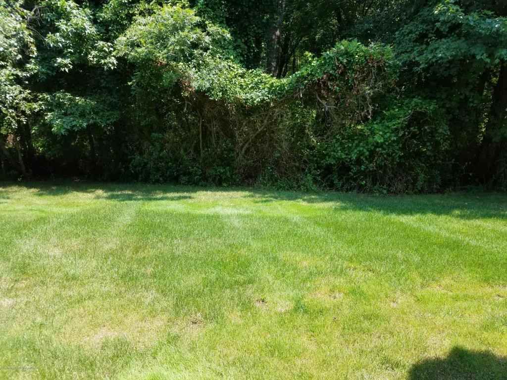 1047 Tarragon Ct - Photo 3 of 6