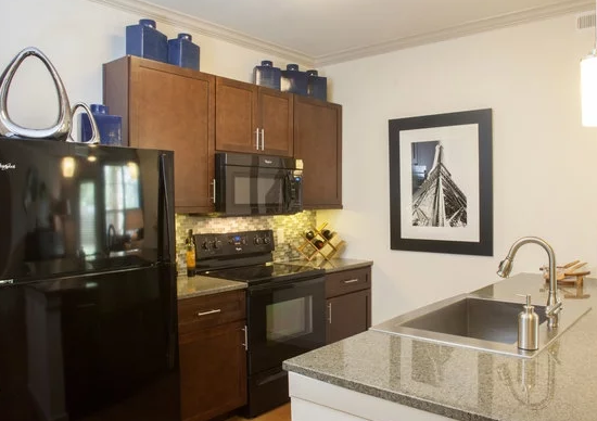 14030 Farm to Market Road 1560 #2408