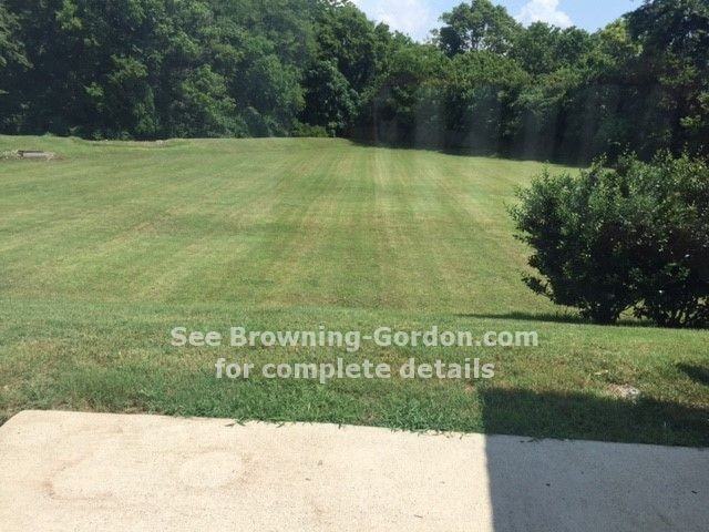 3063 Harpeth Springs Dr - Photo 2 of 14