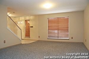 10543 Cat Mountain - Photo 2 of 10