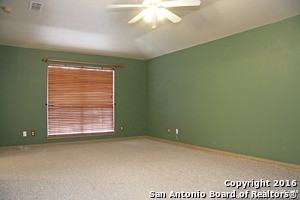 10543 Cat Mountain - Photo 3 of 10