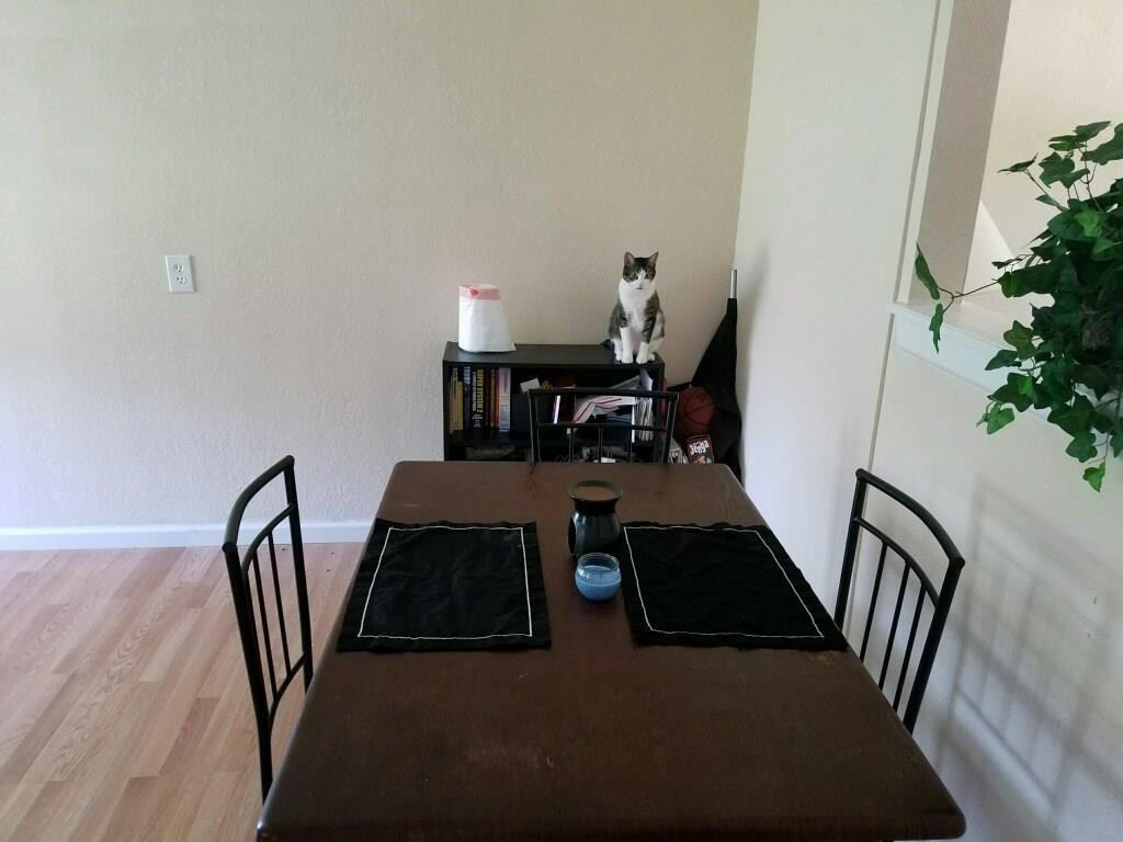 416 Limestone Dr - Photo 2 of 10