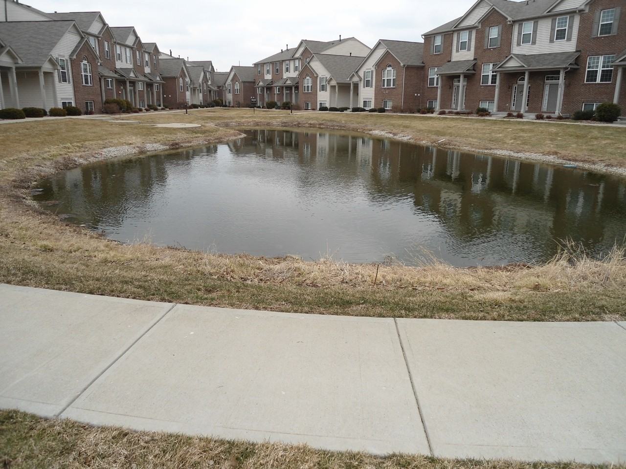 8424 Codesa Way - Photo 3 of 44