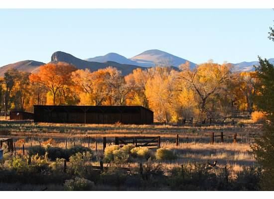 11787 Castle Rock Rd - Photo 3 of 10