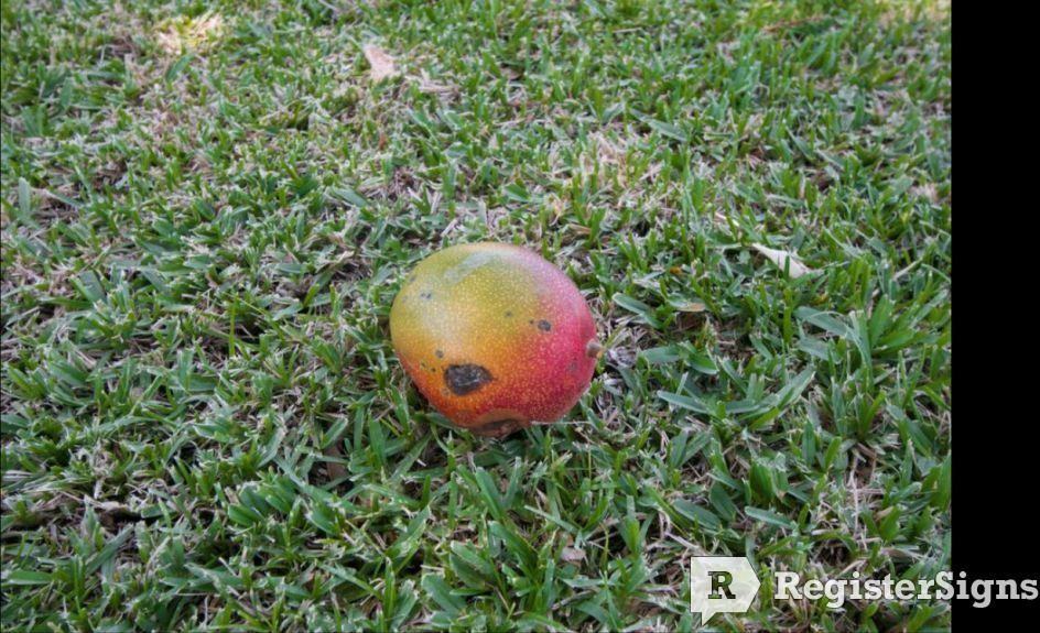 8390 W Lake Dr - Photo 2 of 21