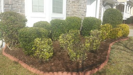 136 Lakeshore Pkwy - Photo 2 of 18