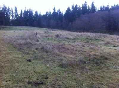 4341 Rollinghill Rd - Photo 3 of 21