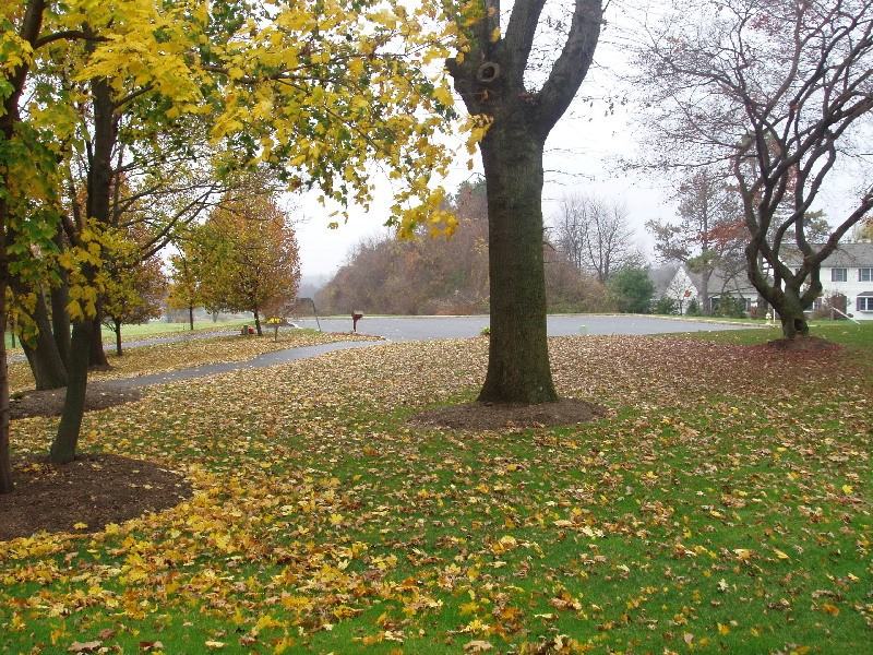 19 Pheasant Cove - Photo 2 of 16