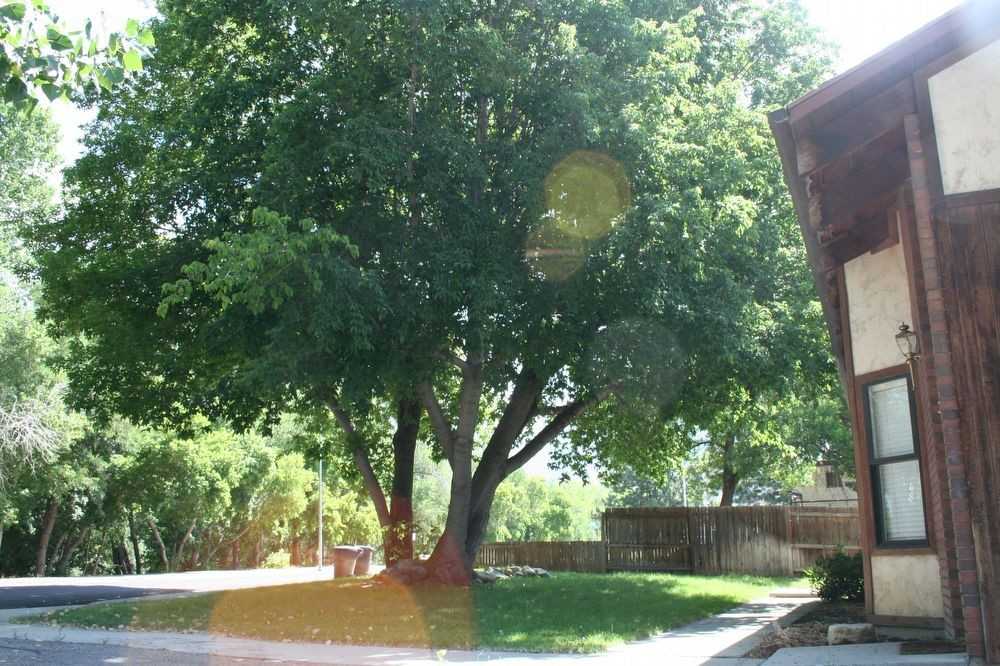 1021 800 N - Photo 3 of 4