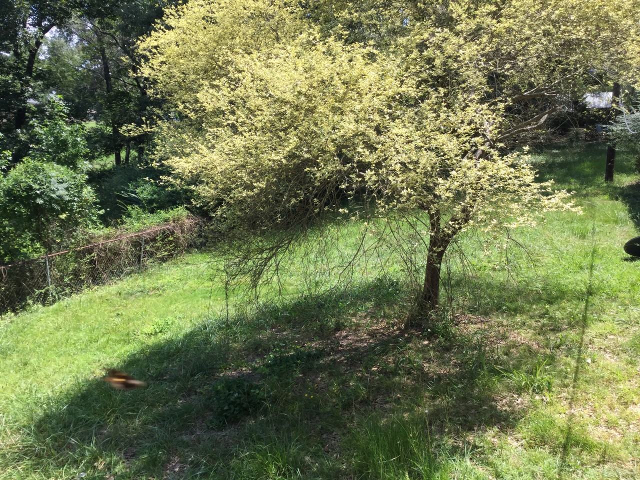 6426 Swann Rd - Photo 2 of 11