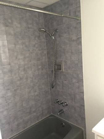 77-64 79th St 1 - Photo 3 of 8