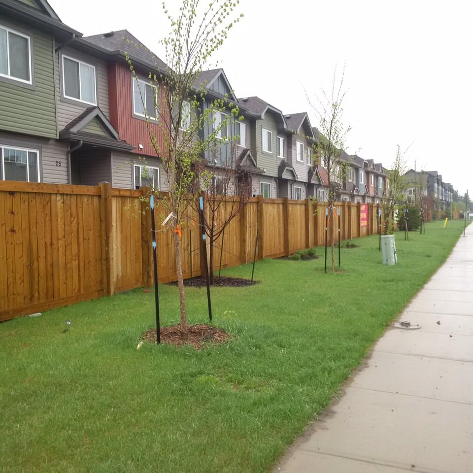 14751 125 Street Northwest, Edmonton, ALBERTA T5X 0G1 3 Bedroom