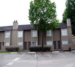 Sago Palms - Photo 2 of 5