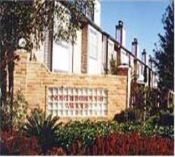 Sago Palms - Photo 3 of 5