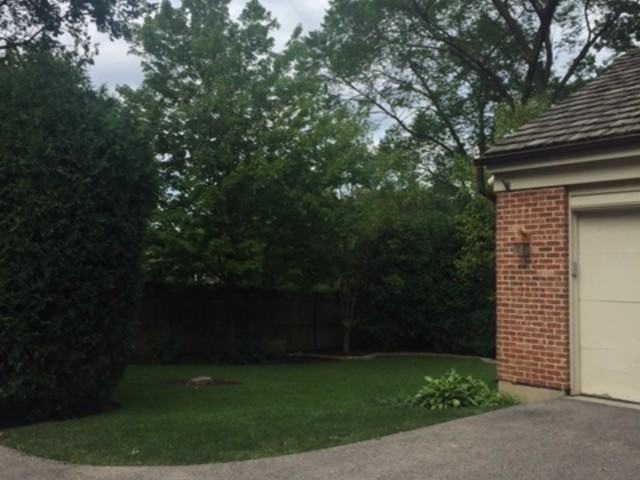 319 Vine Ave - Photo 3 of 12