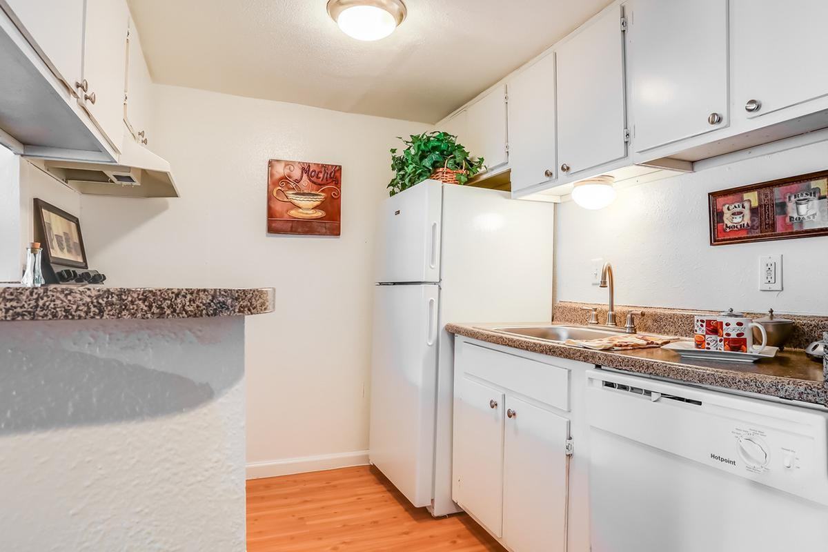 Jacinto Palms - Photo 2 of 21