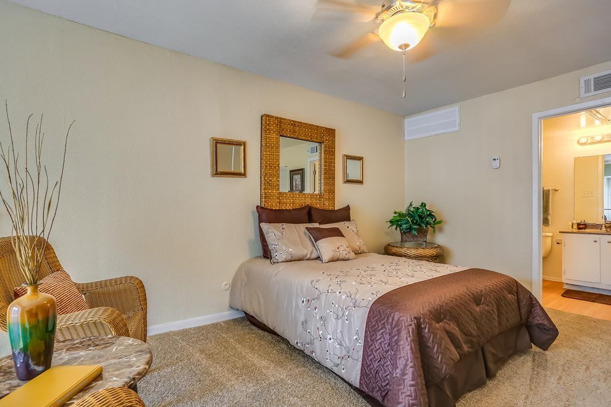 Jacinto Palms - Photo 3 of 21